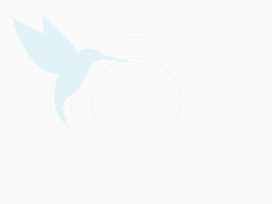 Lorem Ipsum colibri default attachment